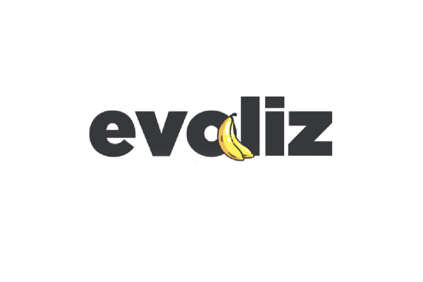 Evoliz